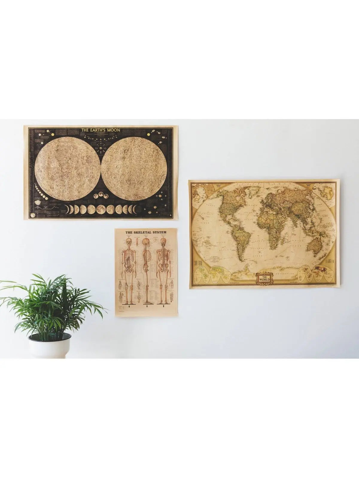 Wall Art - Mystic Oasis Gifts