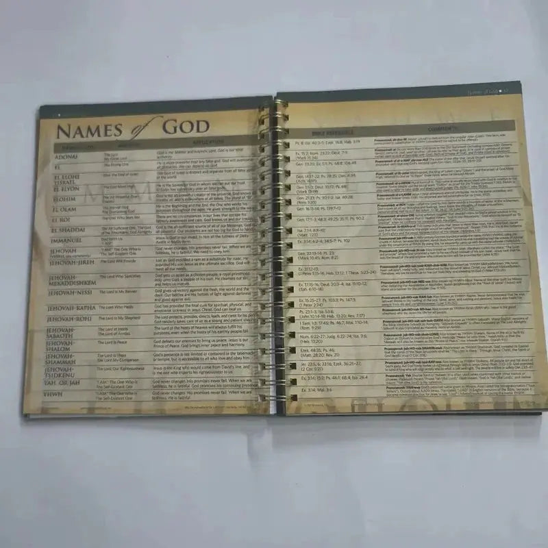 Visual charts illustrating key biblical concepts from the Bible Charts, Maps & Time Lines - 10th Anniversary Edition Study Guide, an ultimate bible timeline guide for deepening understanding.