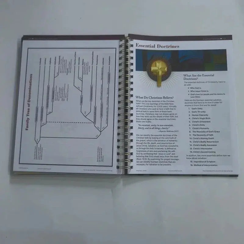 An engaging layout of Paul's missionary journeys featured in the Bible Charts, Maps & Time Lines - 10th Anniversary Edition Study Guide, enhancing the bible timeline guide experience.